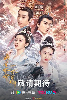 双流seo优化公司